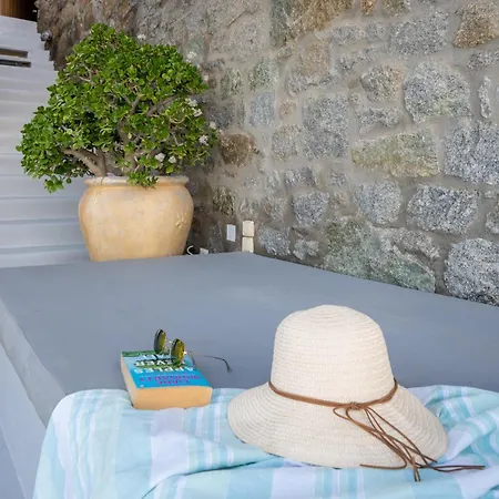 Tommaso Mykonos-iconic Pool & Sea View Vila *